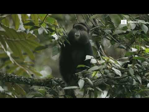 YouTube video thumbnail: Unesco-Greece Melina Mercouri Prize for the Safeguarding and Management of Cultural Landscapes