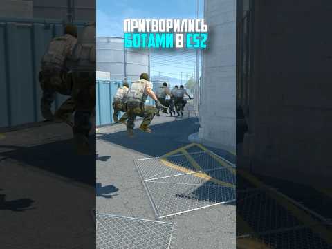 ПРИТВОРИЛИСЬ БОТАМИ В CS2 #cs2 #кс2 #прикол