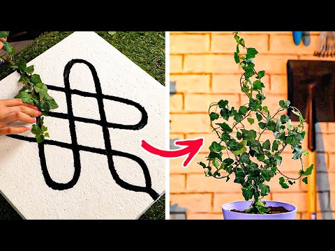 Genio del Jardín: Trucos y Manualidades para Transformar tu Patio 🌱🏡