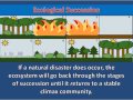 Exploring Secondary Succession in Ecology