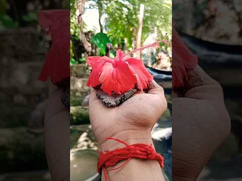 🌺Introducing the "VitaWear SmartBand," a next- generation wearable gadget