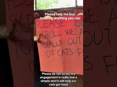 Donation link in bio #helpmeplease#catrescue #adoptstrays #animalrescue