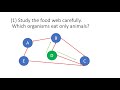 Understanding Food Webs and Consumers