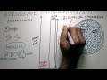 ATP Functions and Protein Clumping