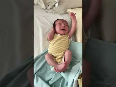 "The Ollie Swaddle is such a rare product.." #theollieworld #shorts #ytshort