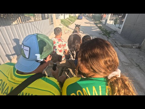 A Day In The Life in A Gypsy Ghetto 🇲🇰