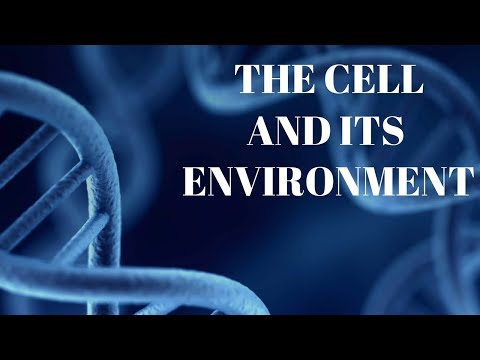 The Cell And Its Environment