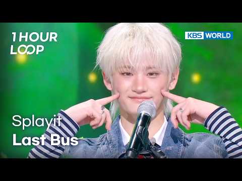 [1HR LOOP🔥] Splayit - Last Bus [Music Bank] | KBS WORLD TV 260814