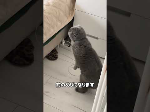 未知との遭遇☺️