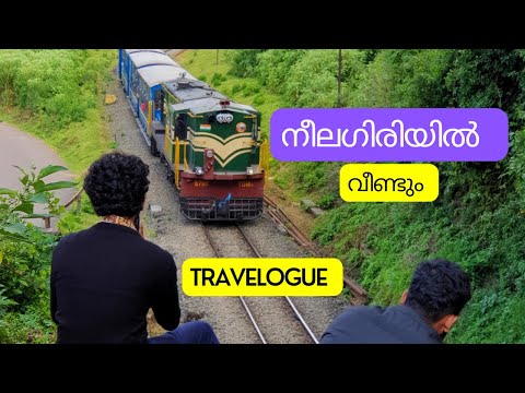 നീലഗിരിയിൽ വീണ്ടും | Ooty Masinagudi Via Kalhatty  | Masinagudi Mudhumalai #malayaliyathrakal