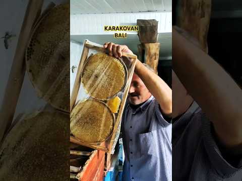 DOĞAL KARAKOVAN BALI EL DEĞMEMİŞ
