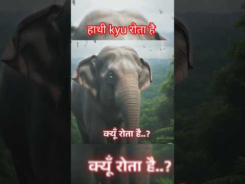 हाथी kyu रोता है।। #trendingshorts #shortvideo