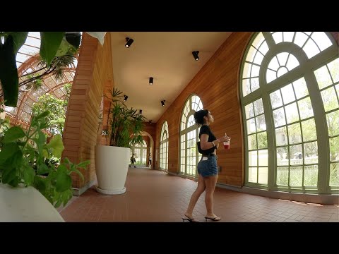 mixed emotions | leaving San Diego
