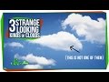 Clouds and Their Fascinating Forms