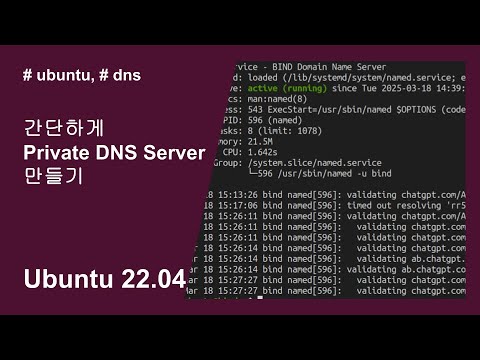 우분투 22.04 | 10_Private DNS Server 만들기