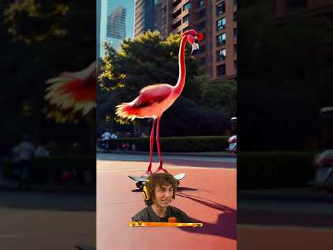 Kwebbelkop