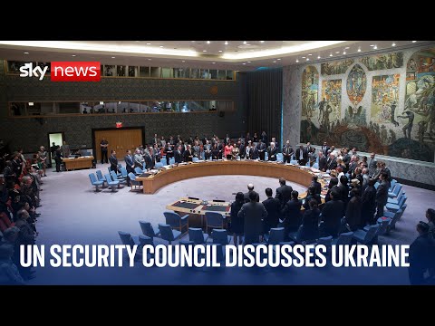 Future of Ukraine discussed at UN Security Council