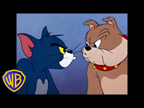Tom & Jerry | Cats V.S. Dogs 🐱🐶 | Animal Takeover | @wbkids