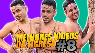 Melhores vídeos Da tigresa | compilado de shorts #8