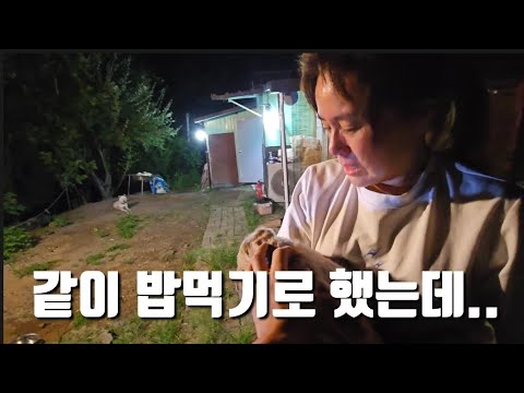 유기견 구조한 순돌이 며칠동안 잠만 자는게 너무이상했어요