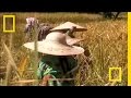 Cultural Practices in Toraja Funerals