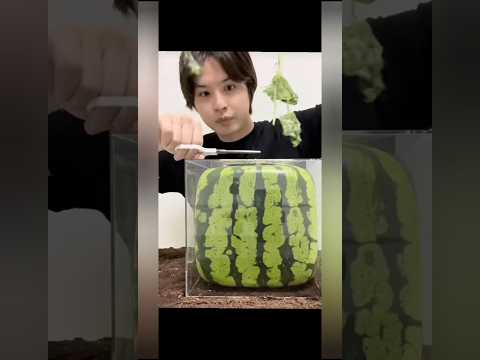 Square Watermelon का Secret!"#shorts#ytshorts#youtubeshorts