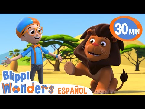 Blippi conoce a un león 🦁 Caricaturas infantiles | Moonbug en Español - Blippi Wonders
