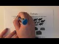 Exploring Ratios and Their Applications