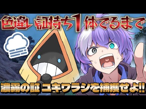 thumbnail_zZGNUB3AaWs