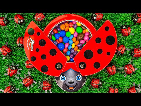 Best Satisfying ASMR | Colorful Fruit & Magic M&M's with LadyBug Full of Skittles Candy #689