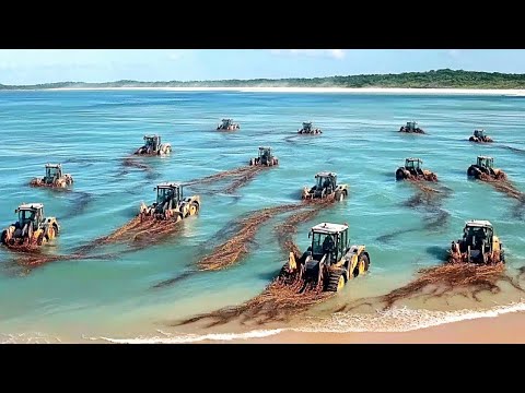 مشروع عسكري أمريكي سري وسط المحيط.. وبعد عام حدث ما لم يتوقعه أحد!