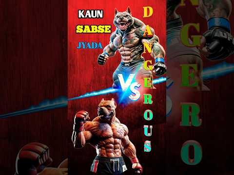 Pitbull vs American Bully Fight 😡||#shortvideo #pitbull #americanbully