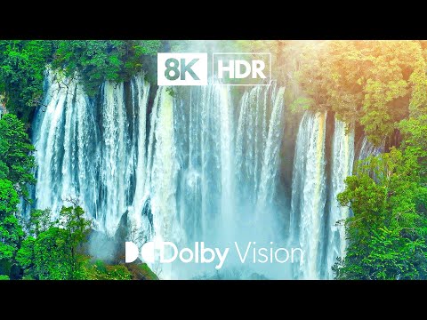 DIVE INTO THE BEST DOLBY VISION™ VIDEO | 8K HDR 60FPS