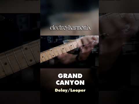 EHX Grand Canyon Delay & Looper Pedal Demo