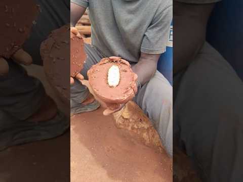 سؤال من متابع / كيف ملكة النمل الأبيض كبيرة وما نشوفها ؟