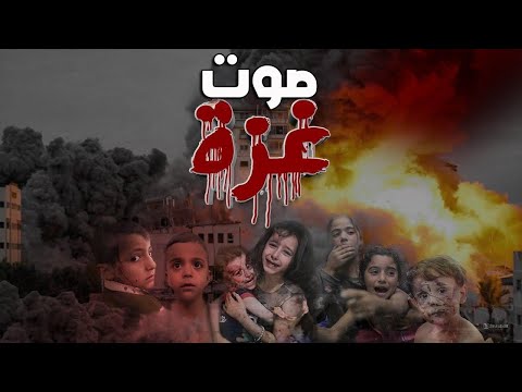 غزة لن تهزم 💪❤️  شعوب عربية توحدت لدعم القضية!