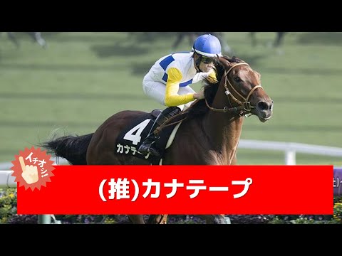 追い切り徹底解説！【府中牝馬ステークス2025】カニキュル、セキトバイーストなどの状態はどうか？調教S評価は2頭！