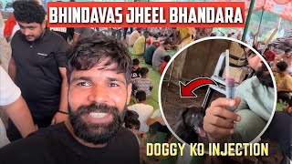 आज गये भिंडावास झील पर भण्डारा खानें|