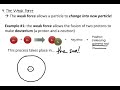 Fundamental Forces in Physics