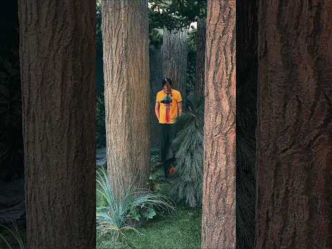 Walking Through Jason’s Haunted World