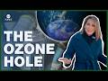 Ozone Layer Recovery and Impact