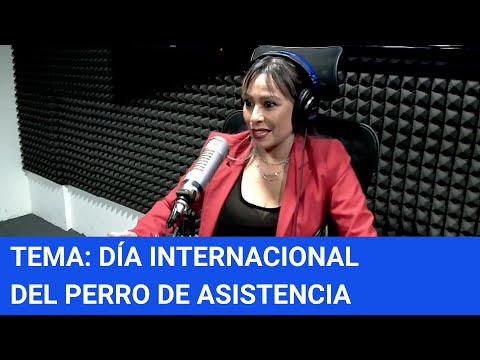 Tema: Día internacional del perro de asistencia