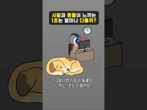 <strong>사람과</strong> 동물이 느끼는 1초는 얼마나 다를까?