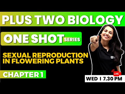 PLUS TWO BIOLOGY | One Shot Series | Sexual Reproduction in Flowering Plants | EXAM WINNER