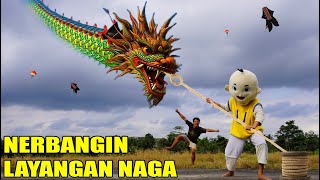 KITA BORONG LAYANGAN NAGA TERPANJANG?!