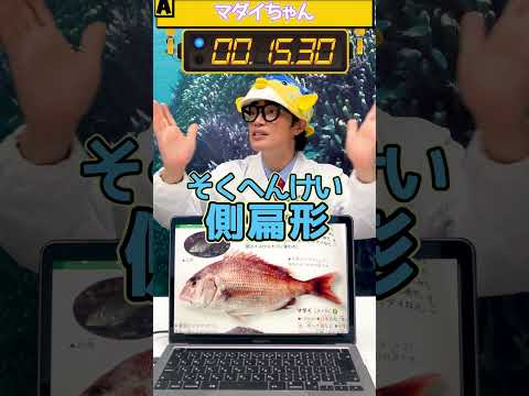 【55秒チャレンジ】サカナキネーター「マダイちゃん」