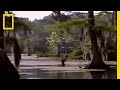 Exploring the Archaeological Discoveries at Wakulla Springs