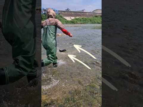 Caught two big carp! so fast