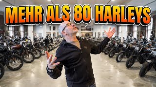 MEHR ALS 80 HARLEYS IM SHOP! 😳 Welche würdest DU nehmen?