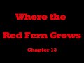 Exploring Chapter 13 of Where the Red Fern Grows